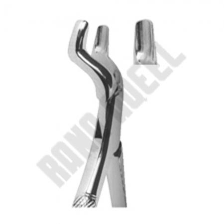 Extracting Forceps American