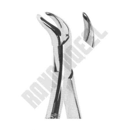 Extracting Forceps American