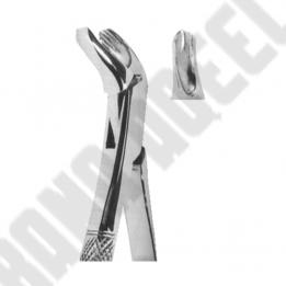 Extracting Forceps American