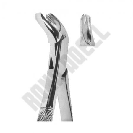 Extracting Forceps American