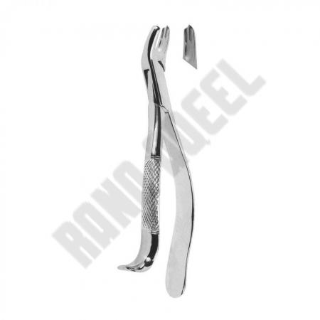 Extracting Forceps American