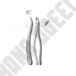 Extracting Forceps American pattern