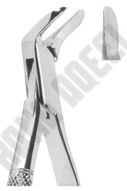 Extracting Forceps American pattern 