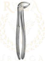 Extracting Forceps English pattern 