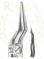 Relax Extracting Forceps 