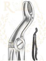 Relax Extracting Forceps 