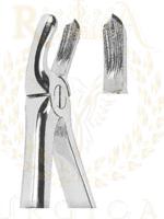 Extracting Forceps For Children - English Pattern 