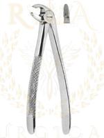 Extracting Forceps English pattern 