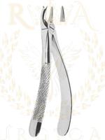 Extracting Forceps English pattern 