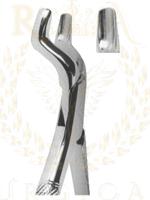 Extracting Forceps American pattern 