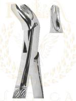 Extracting Forceps American pattern 