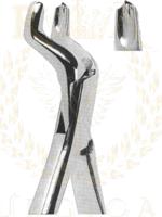 Extracting Forceps American pattern 