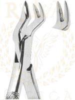 Extracting Forceps American pattern 