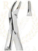 Extracting Forceps American pattern 