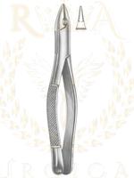 Extracting Forceps American pattern 