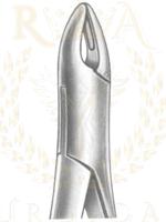 Extracting Forceps American pattern 